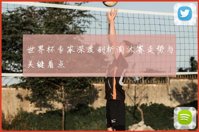 世界杯专家深度剖析淘汰赛走势与关键看点