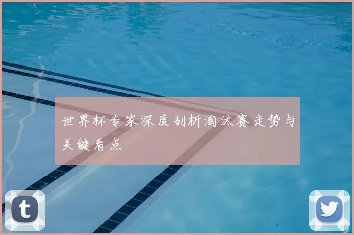 世界杯专家深度剖析淘汰赛走势与关键看点