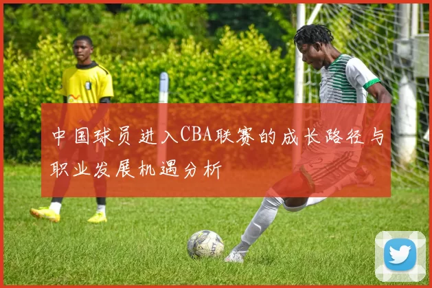 中国球员进入CBA联赛的成长路径与职业发展机遇分析