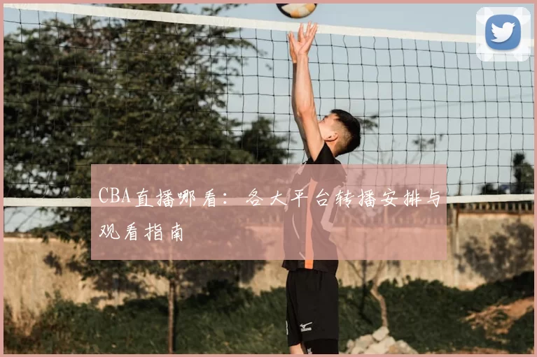 CBA直播哪看：各大平台转播安排与观看指南